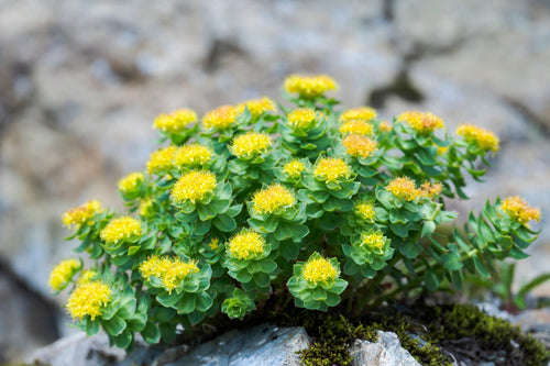 BE THE BEST OF YOU