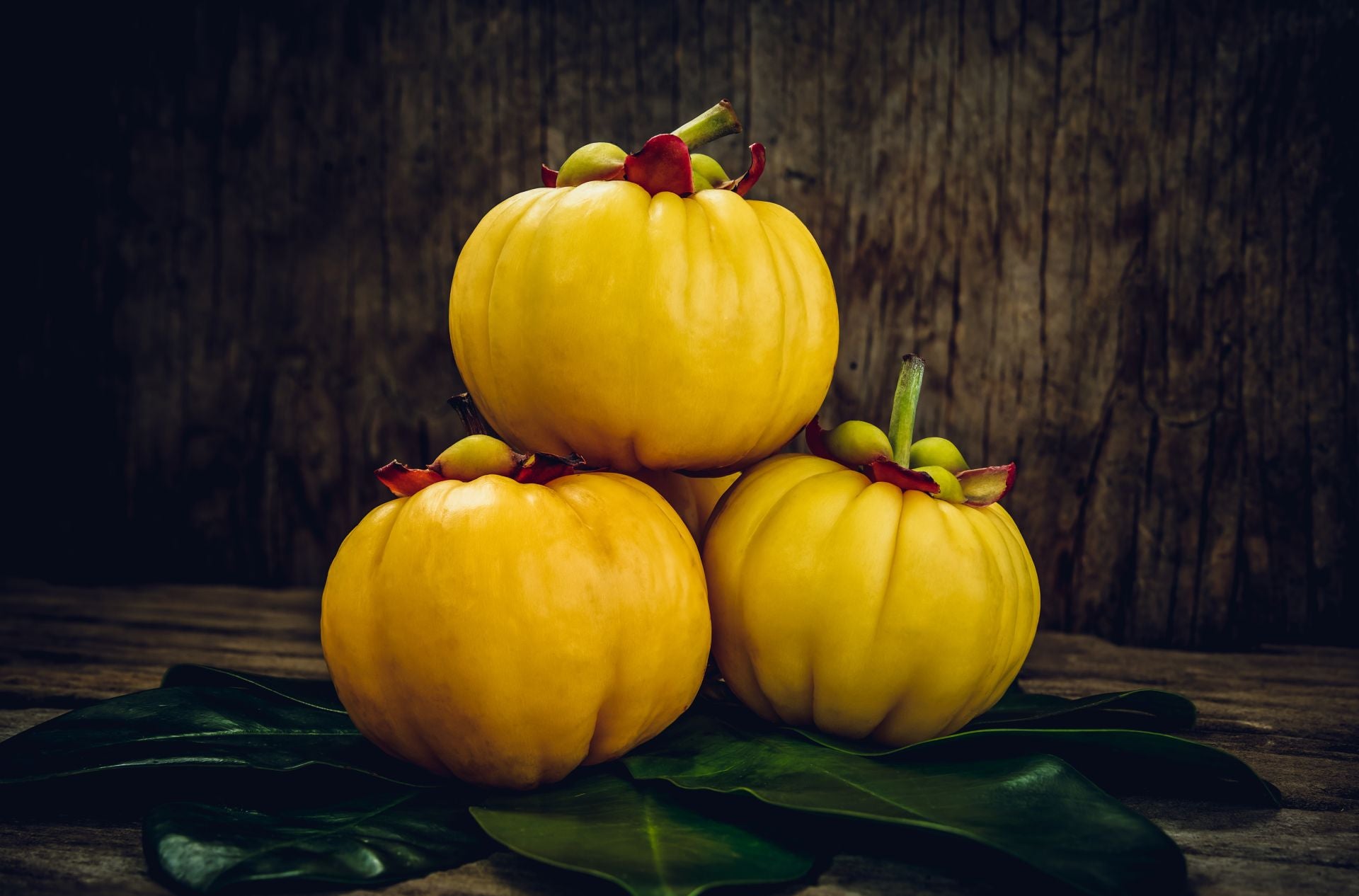 HELLO MEGA METABOLISM