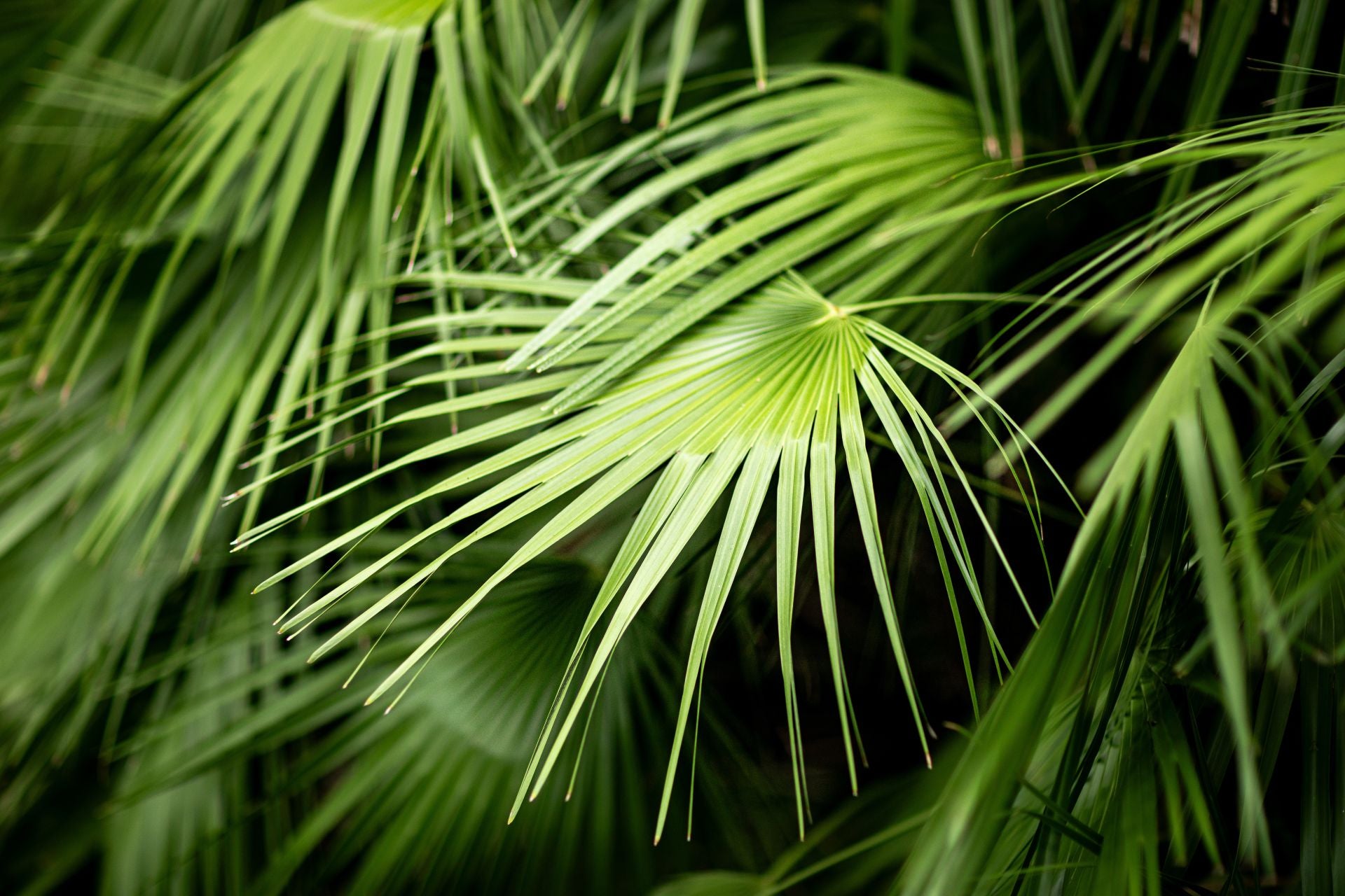 YOUR LIFE STARTS AT 5O!